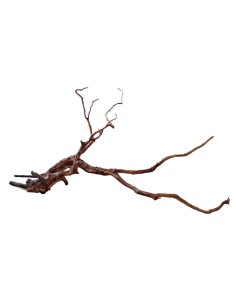 Legno decorativo per acquario e terrario Red Spider King XL 2