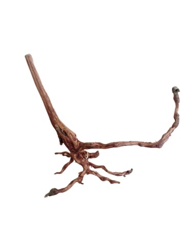 Legno decorativo per acquario e terrario Red...