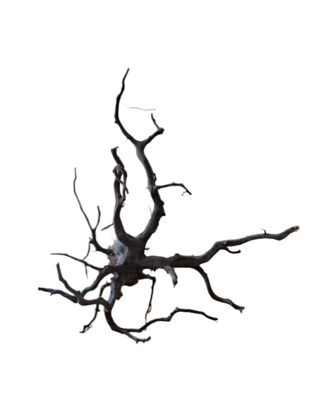 Legno decorativo per acquario e terrario Black Spider King M