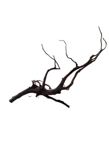 Legno decorativo per acquario e terrario Black...