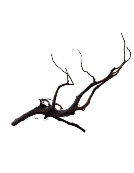 Legno decorativo per acquario e terrario Black Spider King M