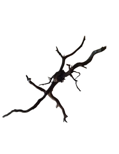 Legno decorativo per acquario e terrario Black...