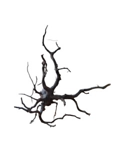 Legno decorativo per acquario e terrario Black Spider...