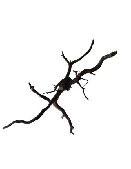 Legno decorativo per acquario e terrario Black Spider King XL