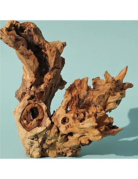 Legno decorativo per acquario e terrario Kayika Wood Natunae L