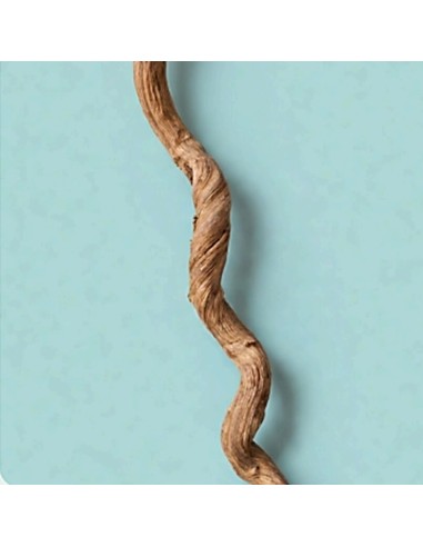Liana legno decorativo per acquario e terrario...