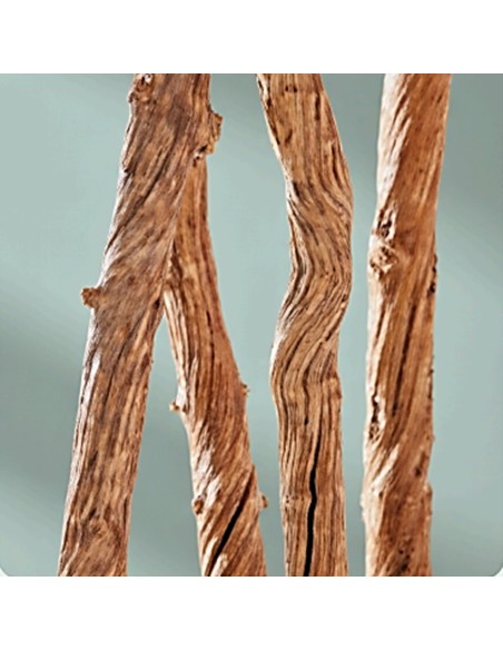 Liana legno decorativo per acquario e terrario Natunae M