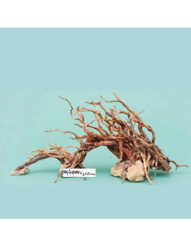 Hardscape Wawe composizione per acquario e...