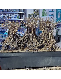 Hardscape Tree Arch composizione per acquario e terrario...