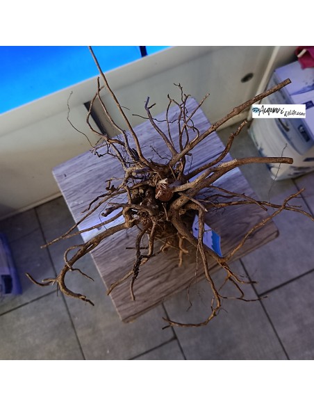 Stump Hardscape composizione in legno e roccia decorativo per acquario e terrario Natunae