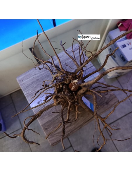 Stump Hardscape composizione in legno e roccia decorativo per acquario e terrario Natunae