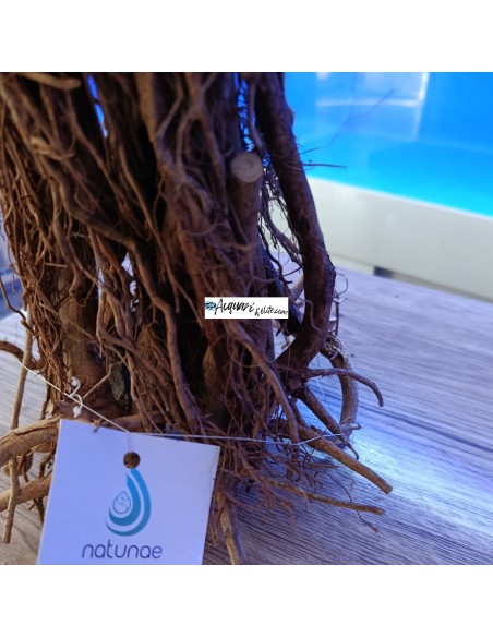 Stump Hardscape composizione in legno e roccia decorativo per acquario e terrario Natunae