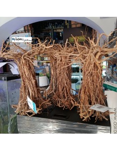 Stump Hardscape composizione in legno e roccia decorativo...