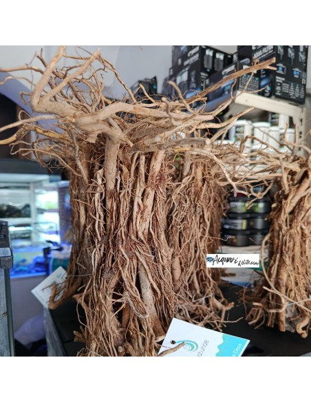 Stump Hardscape composizione in legno e roccia decorativo per acquario e terrario Natunae