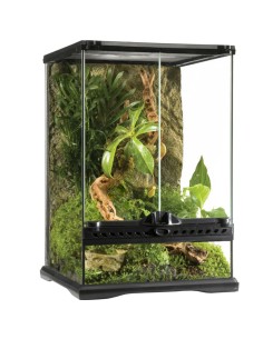 Terrario Exo Terra Glass Terrarium 30x30x45