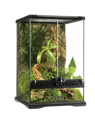 Terrario Exo Terra Glass Terrarium 30x30x45