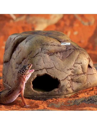 Tana per terrario con rettili o anfibi -...