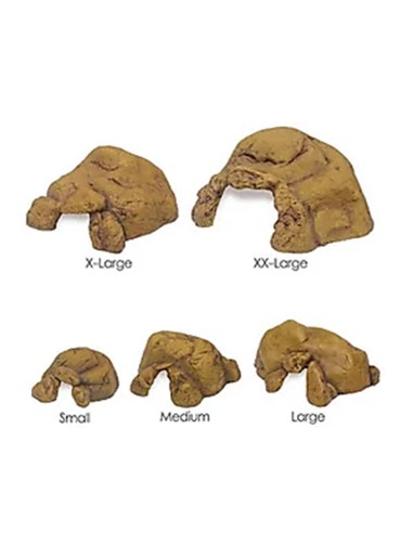 Tana per terrario con rettili o anfibi -...