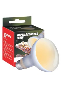 Lampada Riscaldante - Nomoy Pet