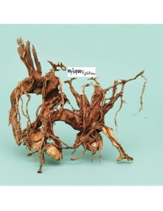 Hardscape Kit legno decorativo per acquario e terrario...