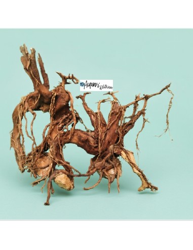 Hardscape Kit legno decorativo per acquario e...