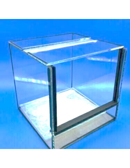 Terrario Cubo Bio-Habitat 15x15x15 in vetro