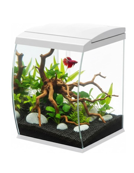 Aqpet CurVe Led 35 lt Nero - Acquario 35 lt - 30.2x33.5x42.5h cm completo di luce e filtro con materiali filtranti