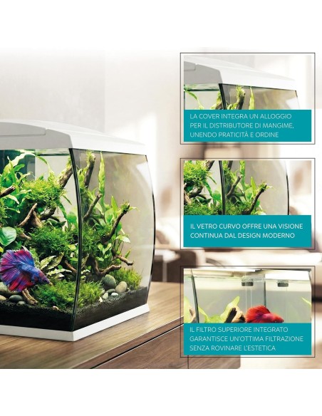 Aqpet CurVe Led 35 lt Nero - Acquario 35 lt - 30.2x33.5x42.5h cm completo di luce e filtro con materiali filtranti