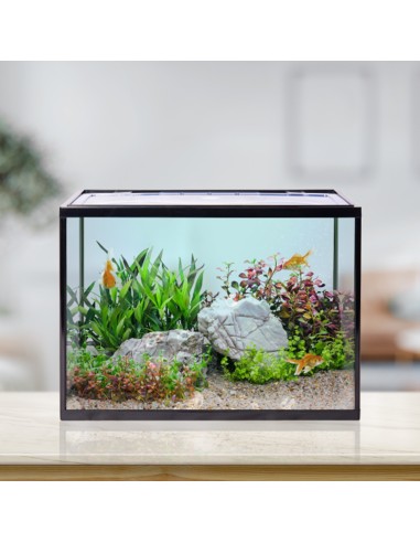 Acquario completo One Mini 20L Aqpet