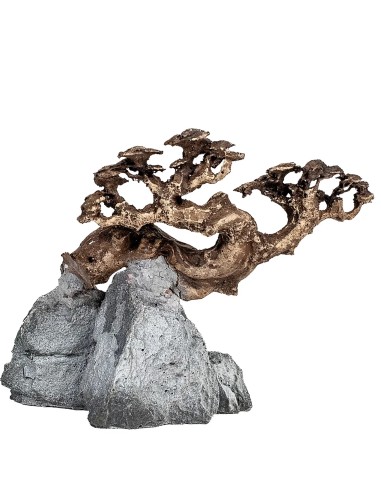 Aqpet Zen Bonsai resina Mod. 10 decorazione...