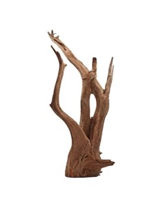 AMTRA Legno Thai Orchid SM – Radice Naturale Decorativa... 2