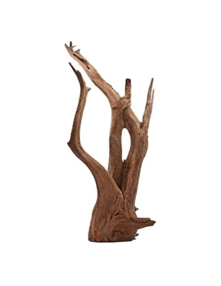 AMTRA Legno Thai Orchid SM – Radice Naturale Decorativa per Acquario e Aquascaping