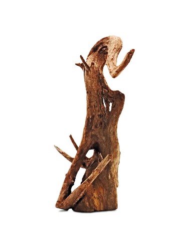 AMTRA Legno Thai Orchid SM – Radice Naturale...