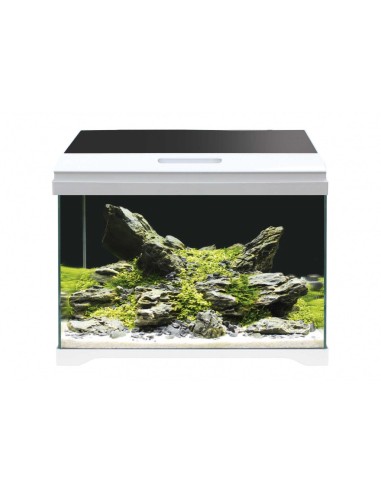 AMTRA ACQUARIO Modern tank 50 led 40 litri