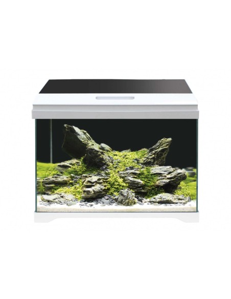 AMTRA ACQUARIO Modern tank 50 led 40 litri