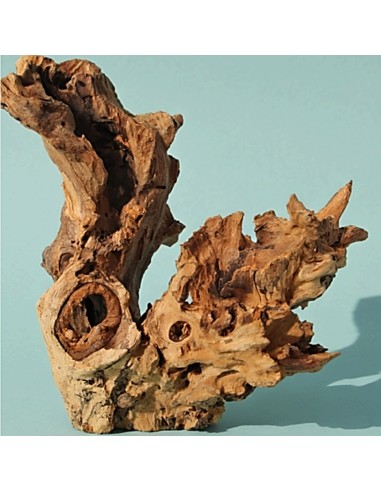 Legno decorativo per acquario e terrario Kayika...