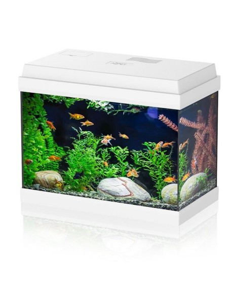 Aqpet Simply LED 30 – acquario cm39x22,5x30h completo di filtro e illuminazione