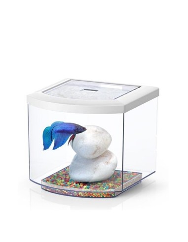 BETTACUB 8 litri 20cm in Vetro - Aquatlantis