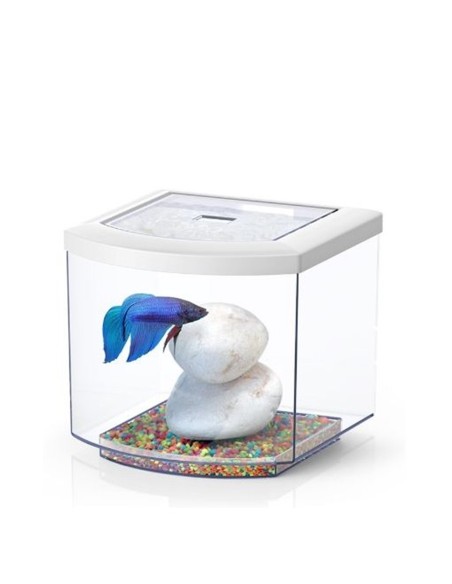 BETTACUB 8 litri 20cm in Vetro - Aquatlantis
