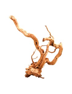 Aqpet Zen wood Radice Legno Select