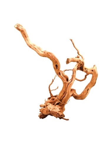 Aqpet Zen wood Radice Legno Select