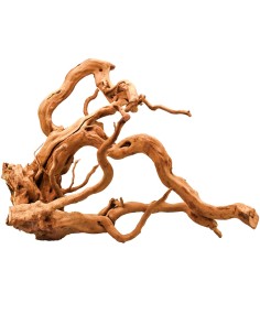Aqpet Zen wood Radice Legno Select 2