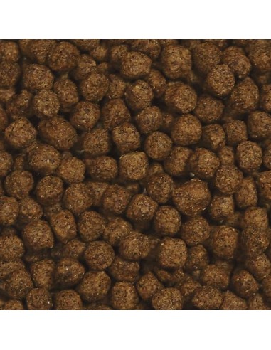 Zoo Med Cibo per tartarughe in fase di crescita...