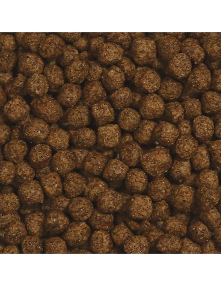 Zoo Med Cibo per tartarughe in fase di crescita Natural Aquatic Turtle Food Growth