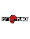 Repti Planet